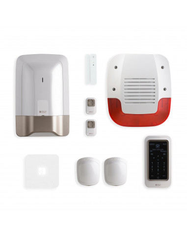 Pack alarme radio avec box connectée et détecteur d'ouverture Pack Tyxal+ DELTA DORE 6410192