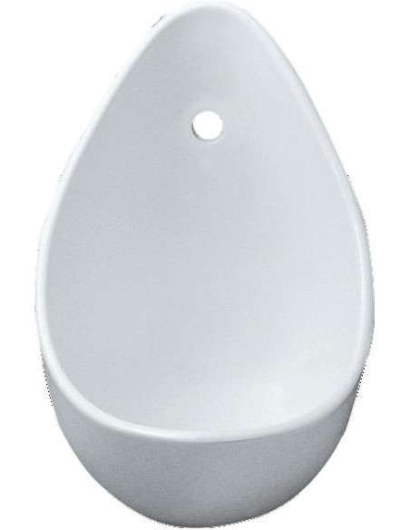Urinoir blanc AUBAGNE 2 GEBERIT 00363900000100