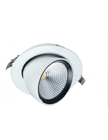 Downlight led SNAIL 180 escargot orientable blanc 35W 4000K LITED SNAIL-35