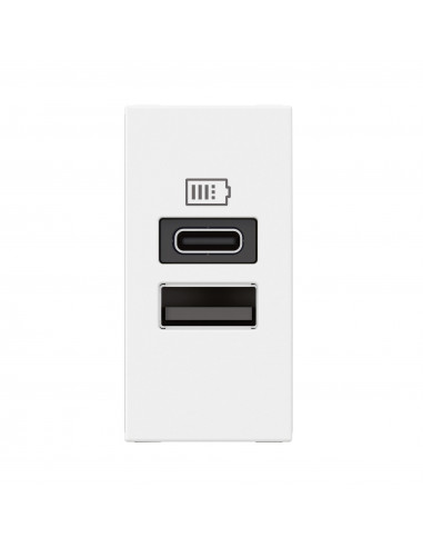 Chargeur USB Type-A+Type-C Mosaic 2 modules blanc pour support LCM LEGRAND 077670L
