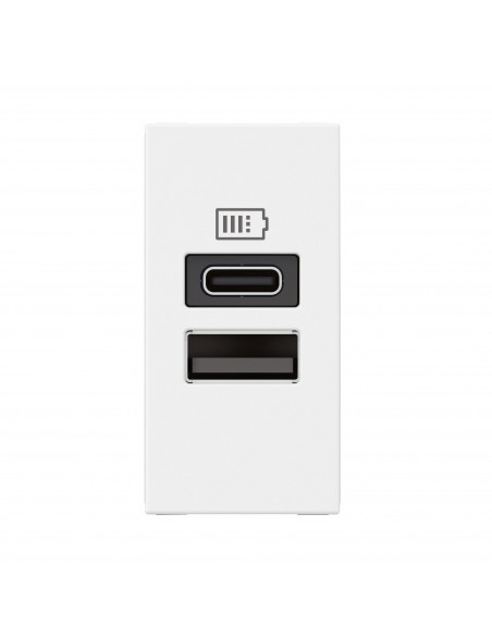 Chargeur USB Type-A+Type-C Mosaic 2 modules blanc pour support LCM LEGRAND 077670L