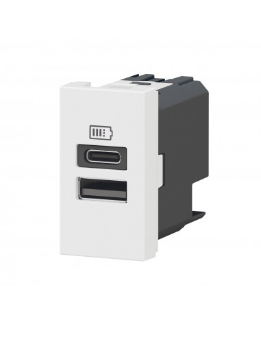 Chargeur USB Type-A+Type-C Mosaic 2 modules blanc pour support LCM LEGRAND 077670L