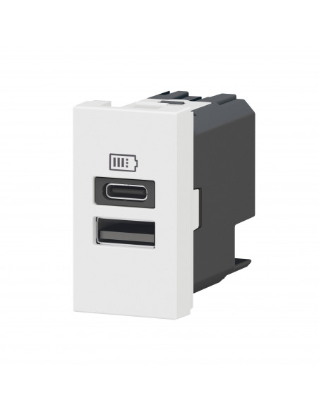 Chargeur USB Type-A+Type-C Mosaic 2 modules blanc pour support LCM LEGRAND 077670L