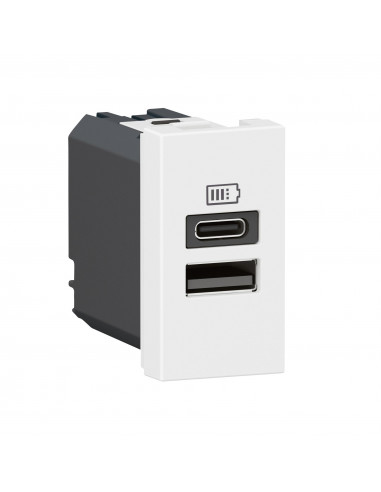 Chargeur USB Type-A+Type-C Mosaic 2 modules blanc pour support LCM LEGRAND 077670L