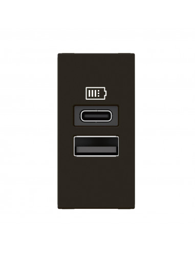 Chargeur USB Type-A+Type-C Mosaic 2 modules noir pour support LCM LEGRAND 077672L