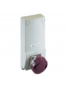 PratiKa prise interverrouillée 16A 2P 230Vca IP65 panneau SCHNEIDER 82076