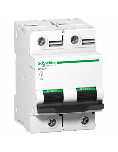 Disjoncteur C120N 2P 125 A courbe B 10 kA SCHNEIDER A9N18347