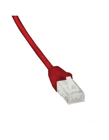Actassi cordon CL-MNC U/UTP 4 paires cat. 6 LSZH 2 mètres rouge SCHNEIDER ACTPC6UULS20RD