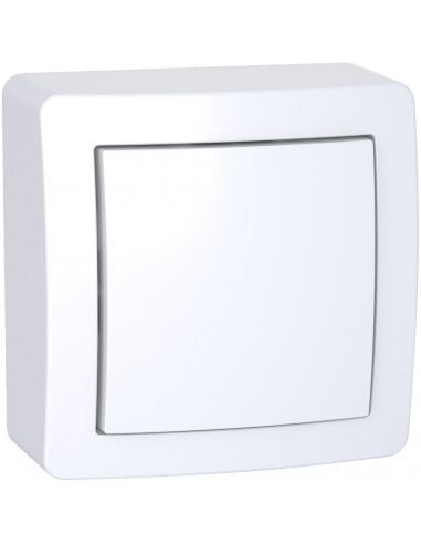 Alréa Poussoir à fermeture avec cadre saillie blanc polaire SCHNEIDER ALB62053P