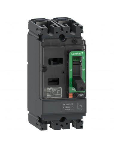 ComPacT NSX100M disjoncteur TM-D 20A 2P2D 85kA montage fixe SCHNEIDER C10M2TM020