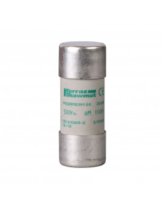 TeSys DF cartouche fusible NFC 22x58mm cylindrique aM 100A sans voyant SCHNEIDER DF2FA100