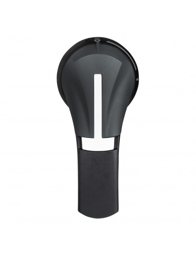 TeSys GS poignée frontale rotative 100A à 400A IP55 noire SCHNEIDER GS2AH535