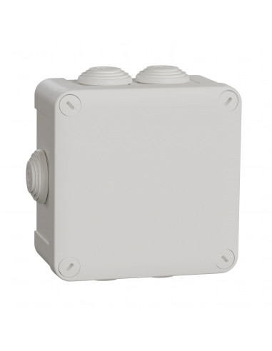 Mureva Box boite de dérivation avec embouts 105x105x55 IP55 blanc polair SCHNEIDER IMT05025