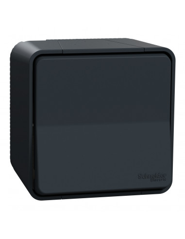 Mureva Styl Va et vient saillie IP55 IK08 connexion auto gris SCHNEIDER MUR35021