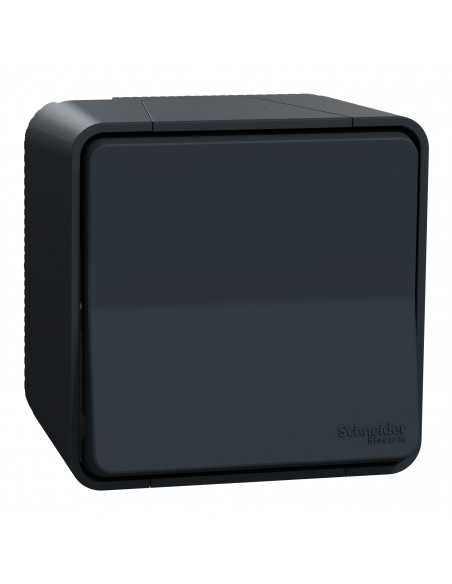 Mureva Styl Va et vient saillie IP55 IK08 connexion auto gris SCHNEIDER MUR35021