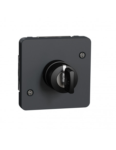 Mureva Styl Interrupteur à clé 3 positions composable IP55 IK08 gris SCHNEIDER MUR35061