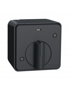 Interrupteur temporisé Mureva Styl LED saillie IP55 IK08 gris SCHNEIDER MUR35067