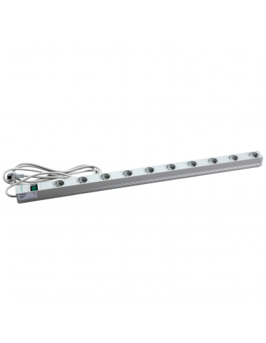 Actassi rail 1U 10 prises + interrup VDE SCHNEIDER NSYAPUS10S