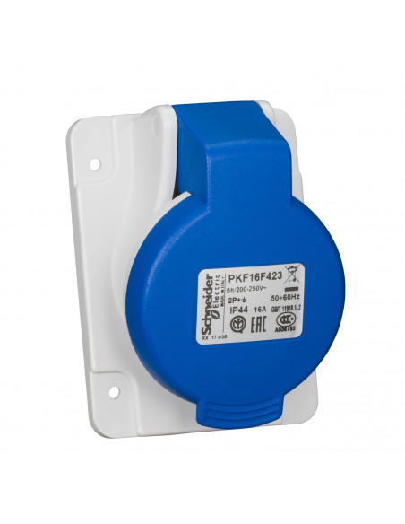Socle de prise inclinée PratiKa 16A 2P+T 200-250 V CA IP44 à vis SCHNEIDER PKF16F423