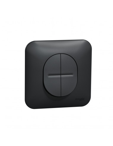 Ovalis double va et vient 10AX avec griffes Avec plaque -Anthracite SCHNEIDER S465214