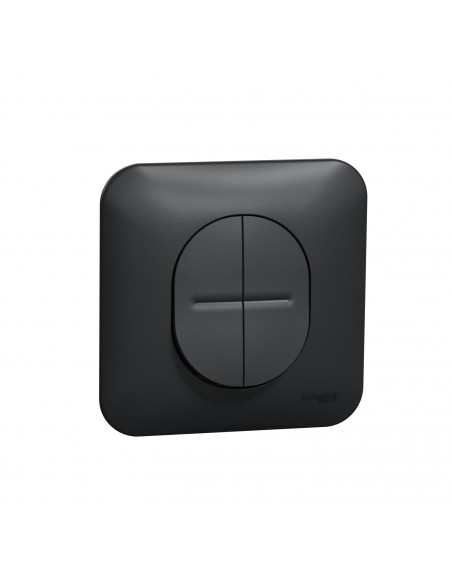 Ovalis double va et vient 10AX avec griffes Avec plaque -Anthracite SCHNEIDER S465214