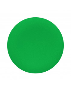 Harmony cabochon lisse -vert pour poussoir rond diam. 22 SCHNEIDER ZBA3
