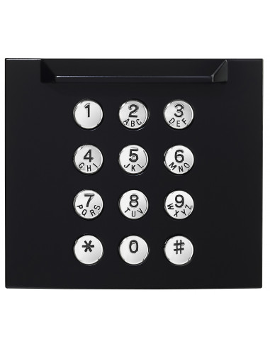 Façade finition noire satinée pour module claiver d'appel GT10K GF10KPB AIPHONE 200437
