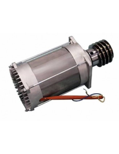 Groupe moteur - BX-24 CAME 119RIBX020