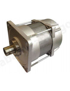 Groupe moteur - FERNI 230V CAME 119RID087