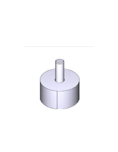 Aimant pour encodeur - F7001E FAST CAME 119RID302