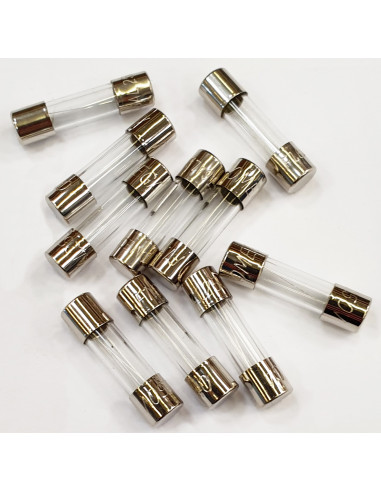 Cond. 10 fusibles de 1,6A 5x20 CAME 119RIR158