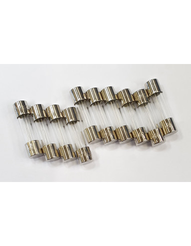 Conditionnement 10 fusibles rapides de 2A 5x20 CAME 119RIR160