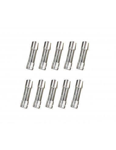 Cond. 10 fusibles de 630MA 5x20 CAME 119RIR164