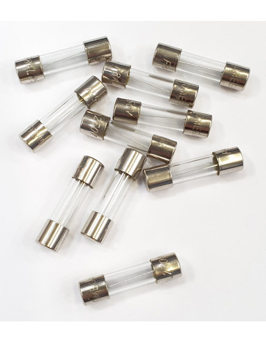 Conditionnement 10 fusibles rapides de 8A 5x20 CAME 119RIR165