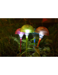 Mushrooms X5 WATT&HOME 401200 2