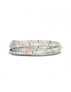 BANDEAU BLC 6000K 5M 60LED...