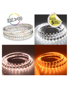 BANDEAU BLC DIM 5M 120LED 9,6W/M IP20 12V BOITE 5ANS MIIDEX VISION-EL 751776