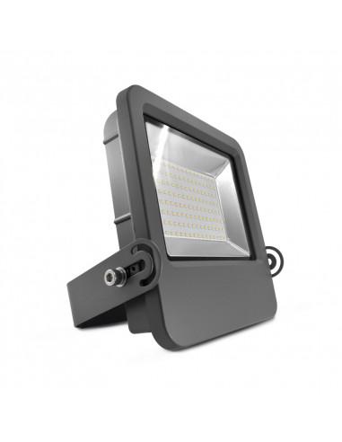 LUMOS VINTAGE PROJECTEUR 120W 6000K PLAT GS IP65 MIIDEX VISION-EL 804511