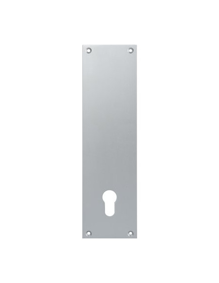 CONTRE-PLAQUE ALU ARGENT BORGN DUVAL 23-0102-2100