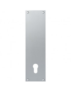 Contre plaque pour portes palières Clé I Aluminium Argent DUVAL 23-0102-2102