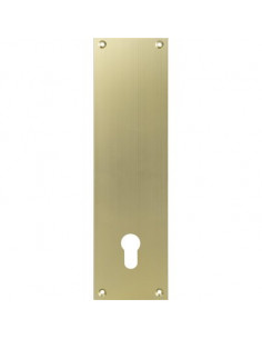 CONTRE-PLAQUE ALU CHAMP I DUVAL 23-0104-2102