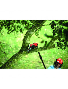 ELAGUEUSE SUR PERCHE 20V SKIL GV1E0650CA 2