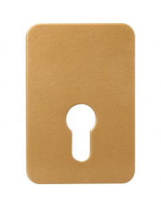 PLAQUE RENFORT VERROU CP EXEM 00039009