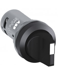 C2Ss2-10B-20 Bouton...