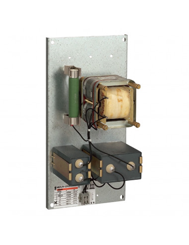 Vigilohm platine impedance de limitation ZX SCHNEIDER 50159