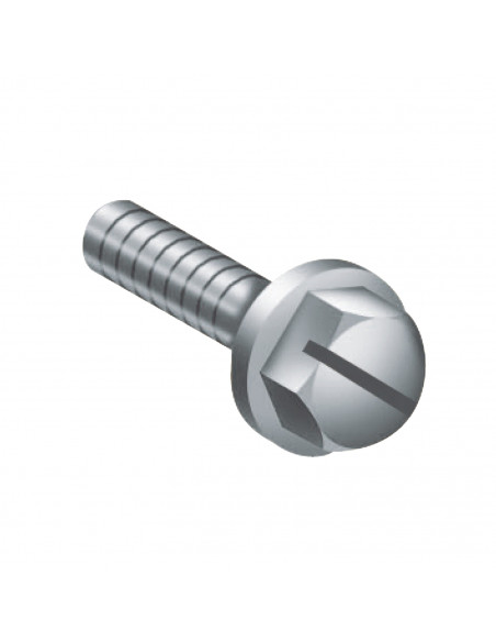 Spacial Thalassa vis M6x18mm + rondelle SCHNEIDER AF1VA618