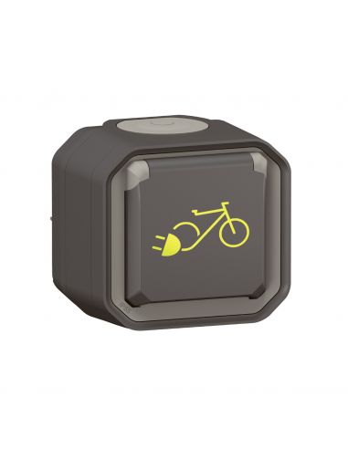 Prise de courant Plexo pour recharge vélo électrique complet saillie anthracite LEGRAND 069787L