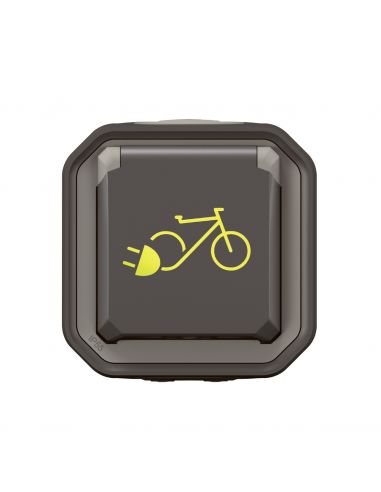 Prise de courant Plexo pour recharge vélo électrique complet saillie anthracite LEGRAND 069787L