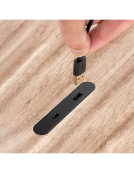 Connecteur USB A+C Linky (81x12mm) 5V DC 2A (10W) Plastique noir Plastique EMUCA 5049417