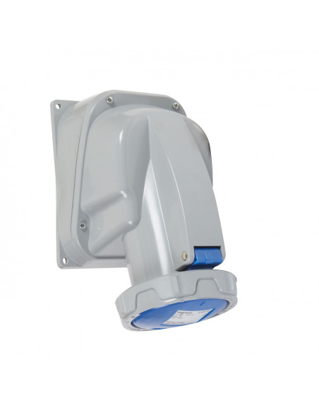 Socle sailli 63A 2P+T 230V IP67 LEGRAND 555554